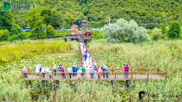 Düzce Şelaleler Ve Efteni Gölü Turu | Meloni Tur