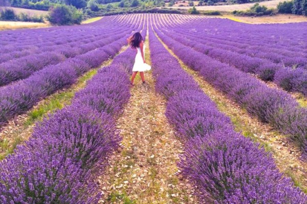Lavanta Bahçeleri Salda Gölü Pamukkale 1 Gece Konaklamalı | Meloni Tur